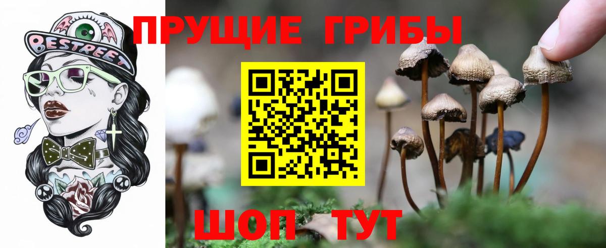 Галлюциногенные грибы Psilocybine cubensis  Вход с VPN  Назарово 