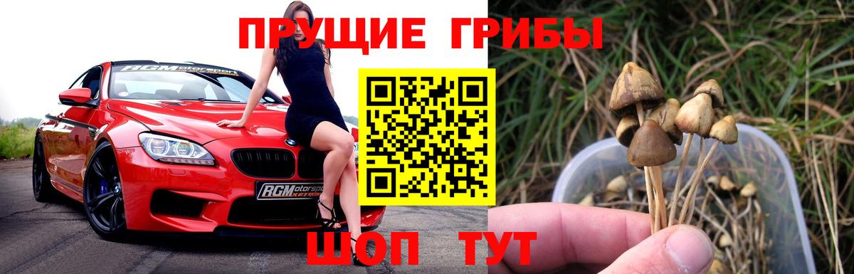 Псилоцибиновые грибы ЛСД Назарово
